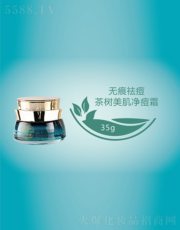 �V���f(w��n)�Z��(gu��)�H����Ƽ����޹�˾��ܽ�����(sh��)��������˪