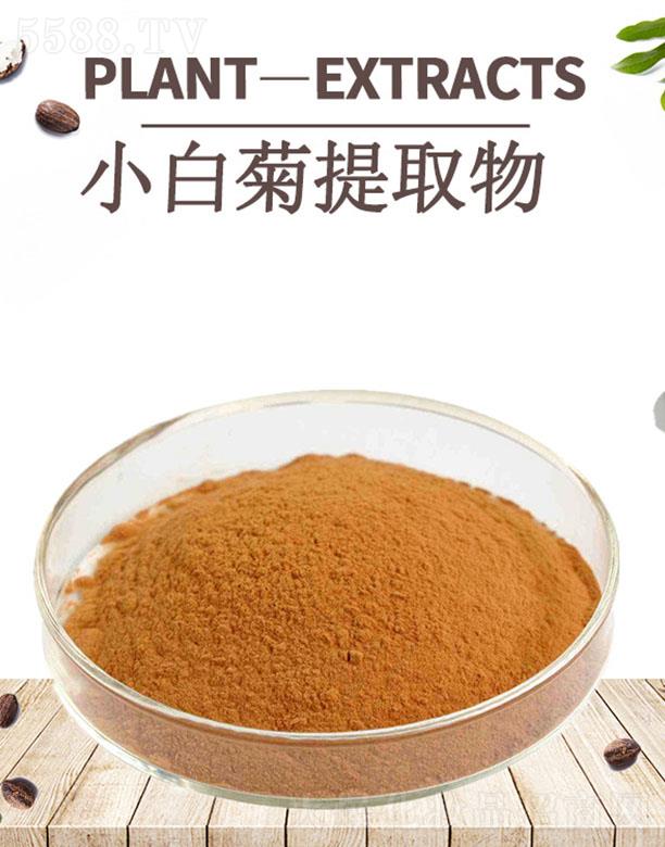 ����ĺ�����Ƽ����޹�˾���ĺ�С�׾���ȡ��