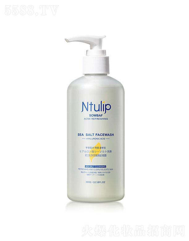 ���h�������yƷ���޹�˾���Z͡��������͸���|�ả�}ϴ����  300g