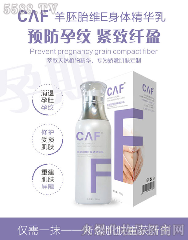 CAF����̥�SE���w���A��