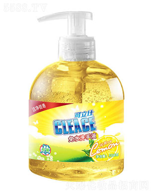 �����ˣ�CLEACE)����ζ��ˮϴ��Һ500g