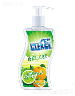 �����ˣ�CLEACE)ϴ��Һ�������500g