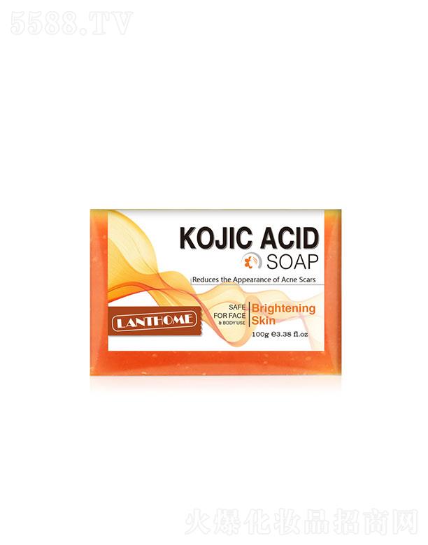 �V���������� ɏ��Ȫ������  100g  �坍���o