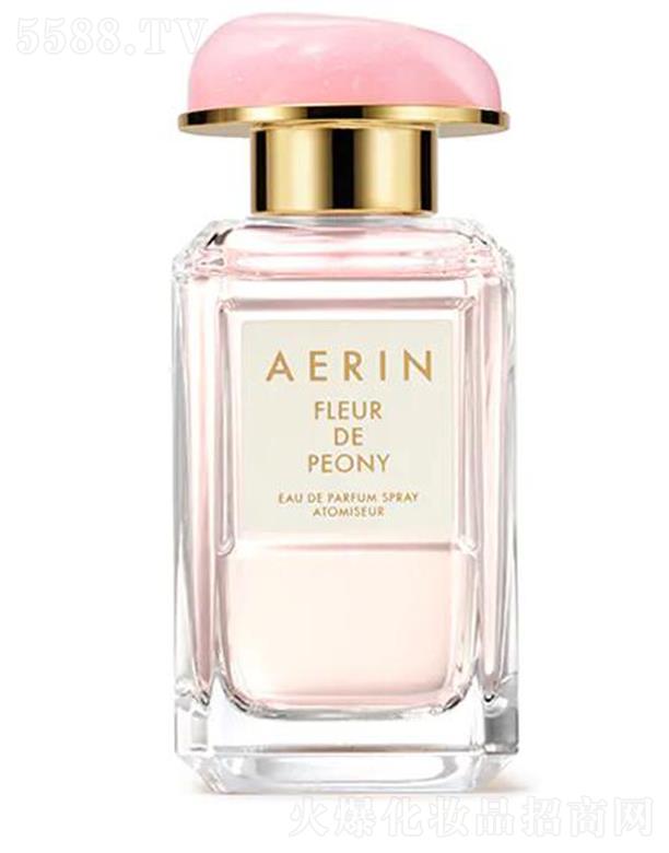 AERIN����ĵ��������� ��(gu��)ɫ���� һҊ(ji��n)�A��