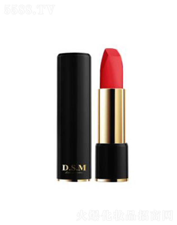 D.S.M��z���������ɴ���06 չ�F(xi��n)�S��(r��n)��ɫ��