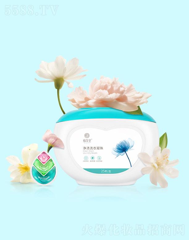 ��������nϴ������ 300g(25�w)