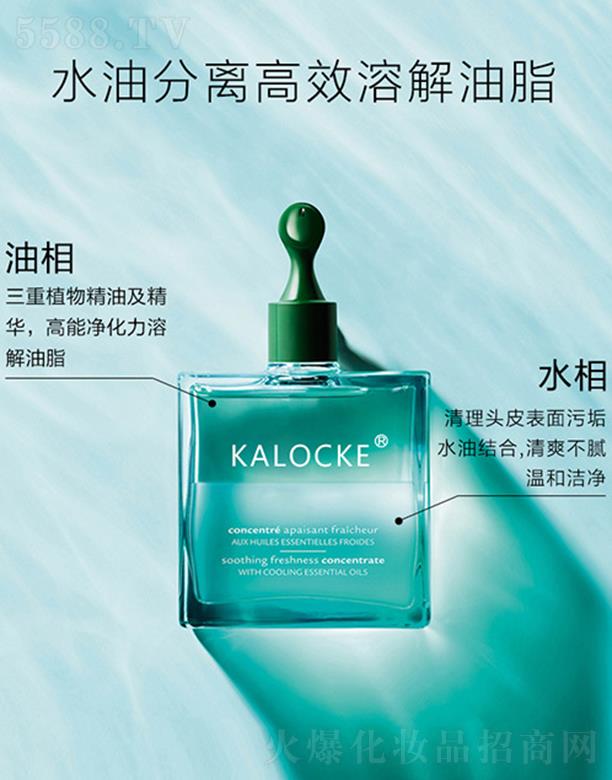 KALOCKE�^Ƥ�坍Һoem