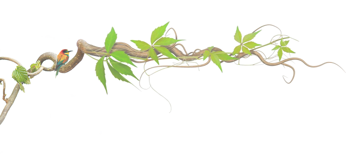 ��֦�b�
